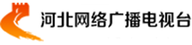 沧州二套